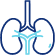 Nephrologie